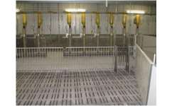 濰坊現(xiàn)代化養(yǎng)豬設(shè)備供貨商 性價(jià)比高的養(yǎng)殖解決方案