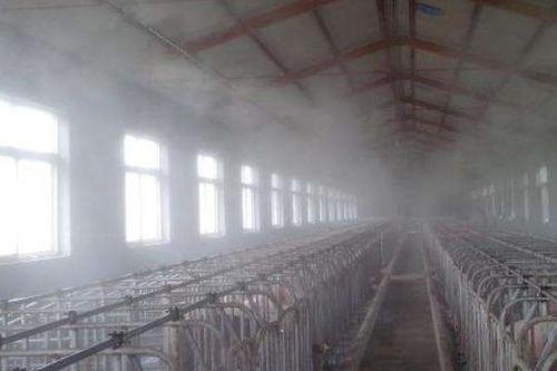 養(yǎng)豬場(chǎng)設(shè)備全解析 從豬圈基礎(chǔ)到現(xiàn)代化養(yǎng)殖系統(tǒng)