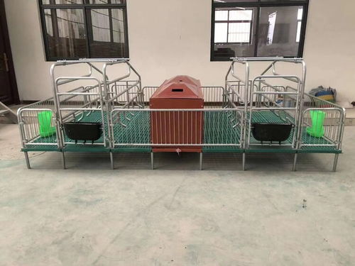 定做母豬產(chǎn)床 豬用復(fù)合板單雙體分娩床與保育床兩用定位欄的優(yōu)勢(shì)與應(yīng)用