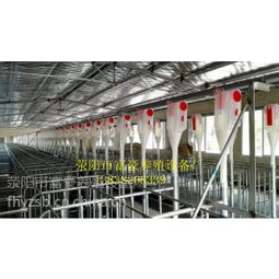 中國(guó)養(yǎng)豬設(shè)備供應(yīng)商與價(jià)格分析