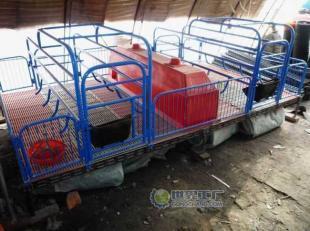 供應(yīng)鞍山養(yǎng)豬設(shè)備，當(dāng)選愛諾 電熱板、保溫箱、產(chǎn)床等一站式解決方案