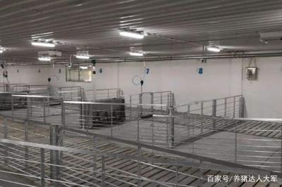 養(yǎng)豬場(chǎng)水泡糞模式 四大關(guān)鍵養(yǎng)豬設(shè)備注意事項(xiàng)