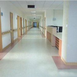 門診用pvc塑膠地板批發(fā) 門診用pvc塑膠地板批發(fā)價(jià)格 門診用pvc塑膠地板批發(fā)廠家