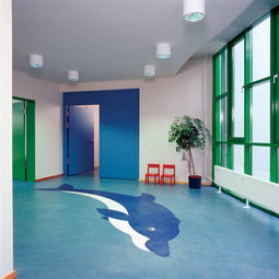 探索韓國LG品牌塑膠地板 武漢專業運動地板與高清大圖解析