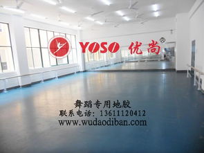 專業舞蹈塑膠地板 保護、減震、排壓與批發的全方位解析